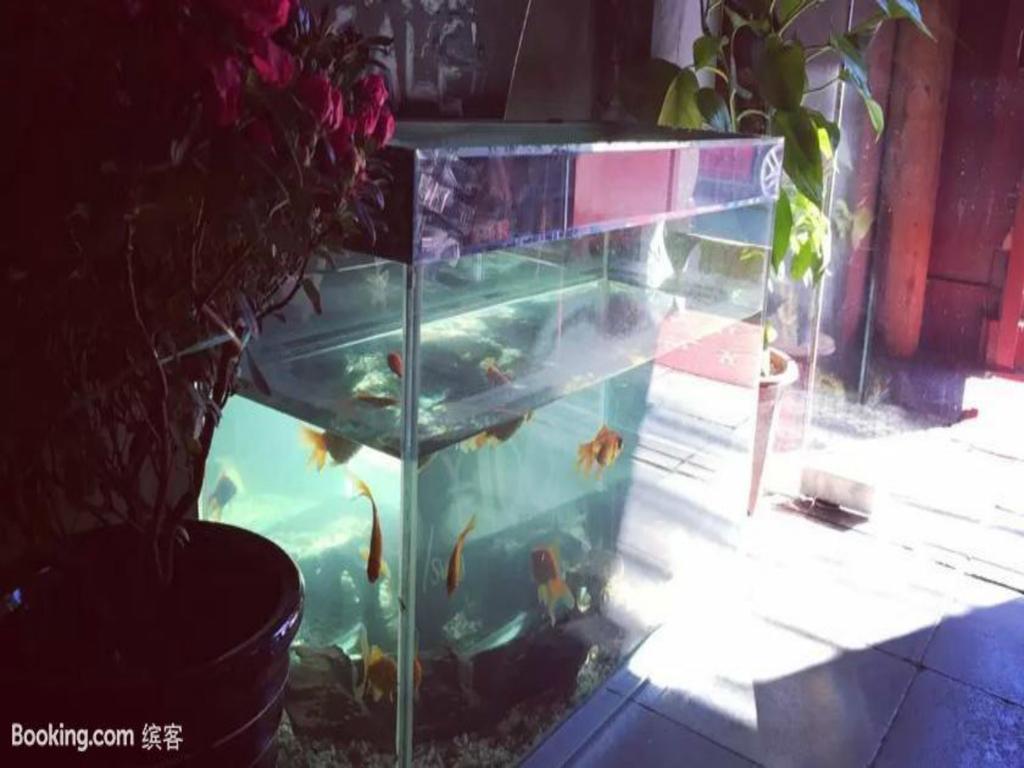 Three Legged Frog Hostel Beijing Eksteriør billede