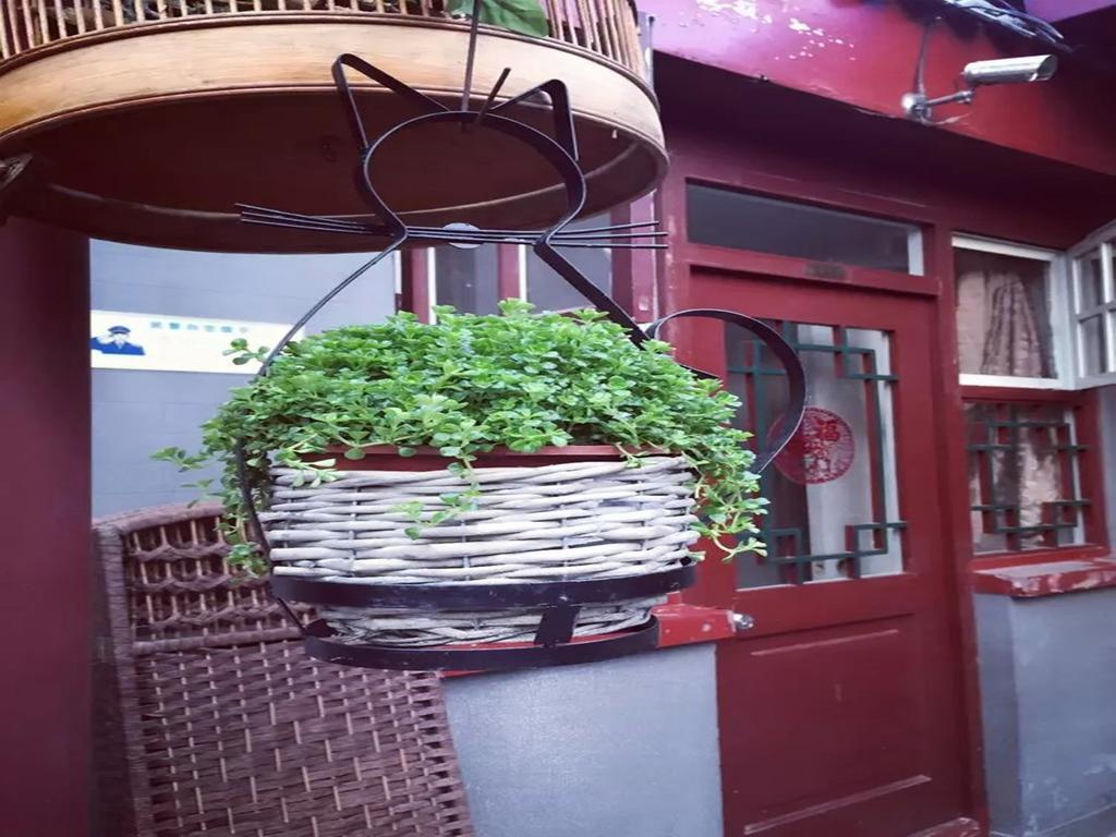 Three Legged Frog Hostel Beijing Eksteriør billede
