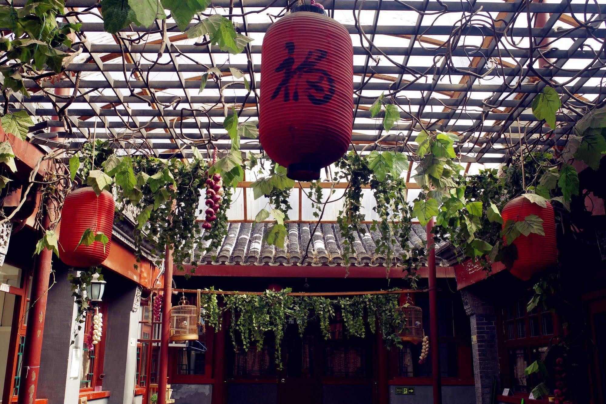 Three Legged Frog Hostel Beijing Eksteriør billede
